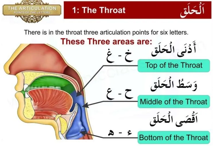 Student memorizing Quran with a Shia Hifz teacher online
